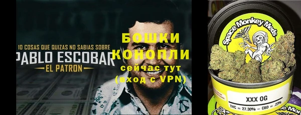 гашиш Магас